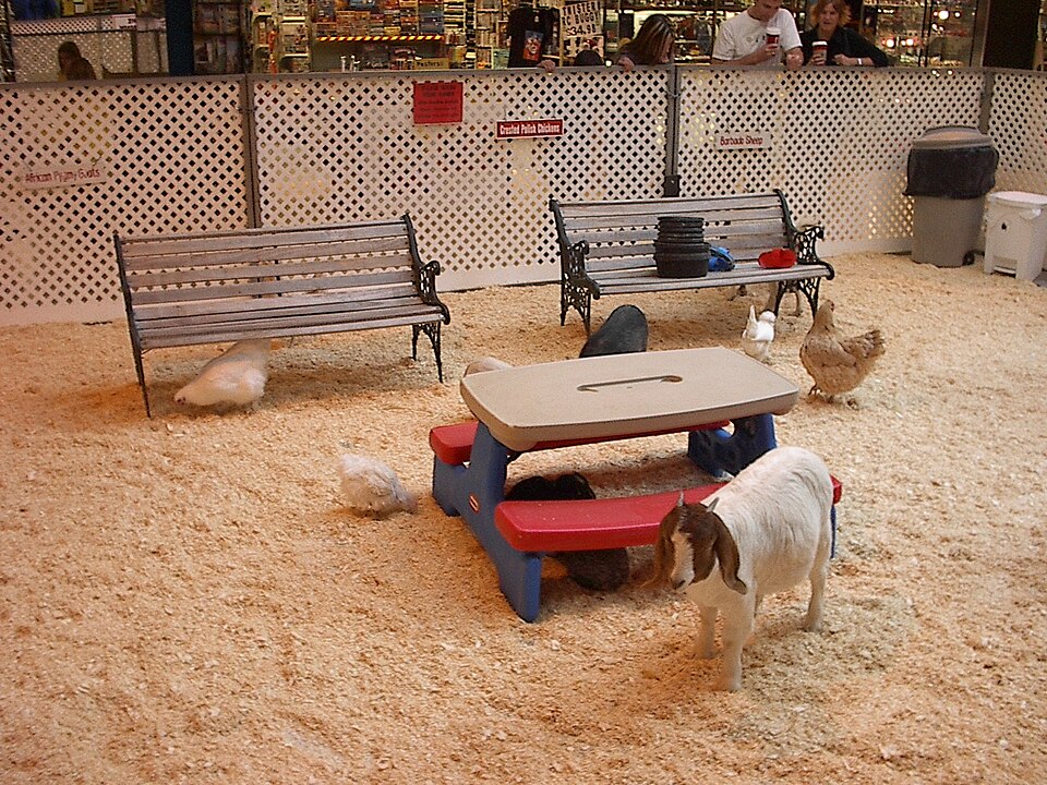 Kinderboerderij Stadspark