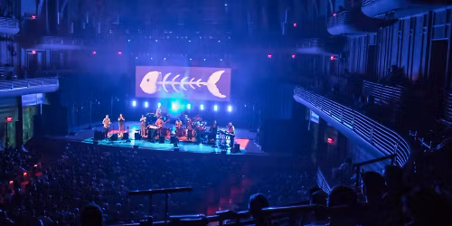 Snarky Puppy in Groningen — Muziek in Groningen