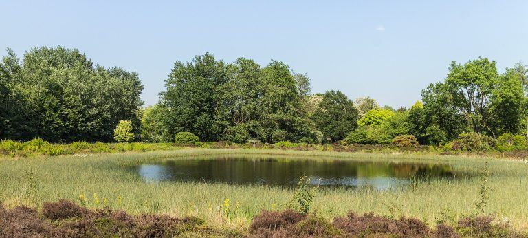 Dagje Hortus Haren — Natuur in Groningen
