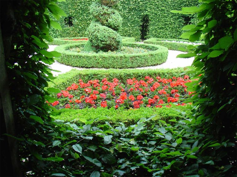 Wandeling in de Prinsentuin — Natuur in Groningen