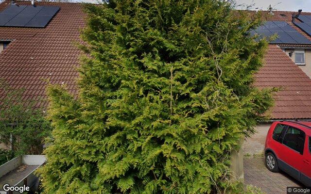 Speeltuin Fultsemaheerd