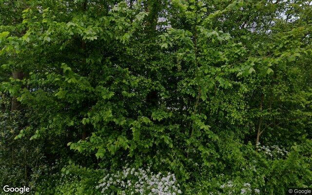 Speeltuin Tuwingastraat