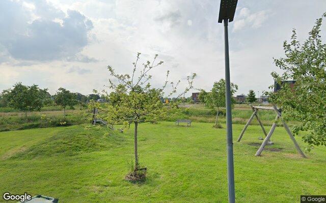 Speeltuin Penningkruid