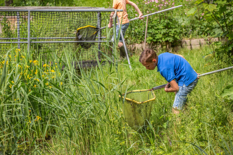 Wat leeft er in de sloot? — Cultuur in Groningen