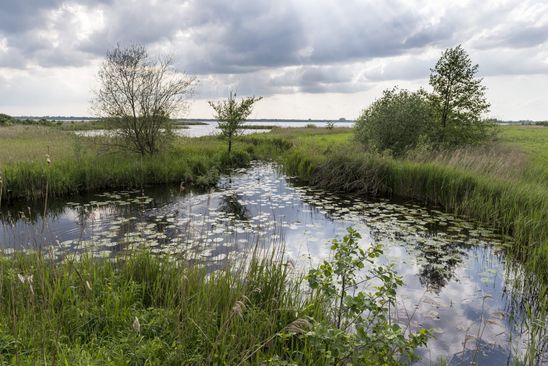 Zomerwandelrondje Leinwijk — Gratis in Groningen