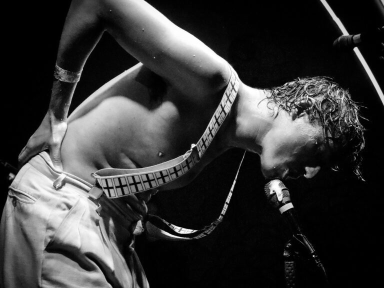 Fat White Family (UK) + support — Muziek in Groningen