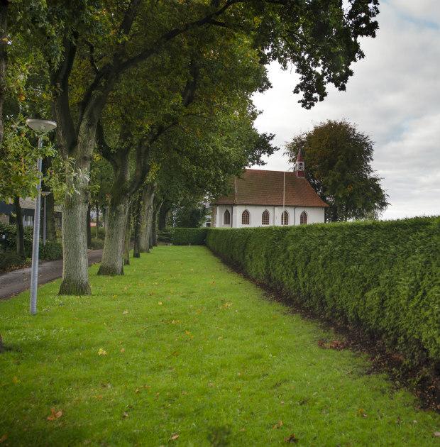 Expositie: schilderijen van Adriane Wolters — Cultuur in Groningen
