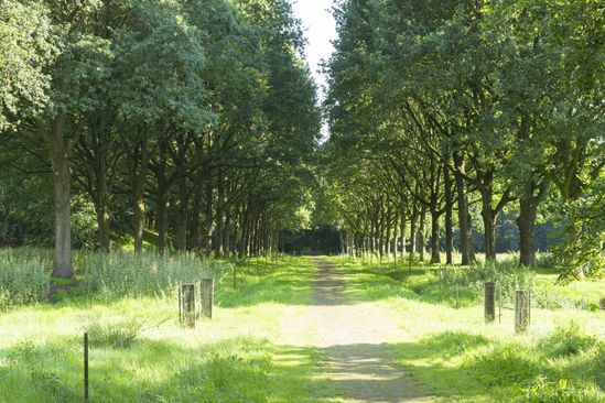 Fietsen door voormalig water en langs het nieuwe water. — Gratis in Groningen