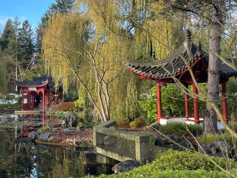 Publieksrondleiding: Chinese tuin — Cultuur in Groningen