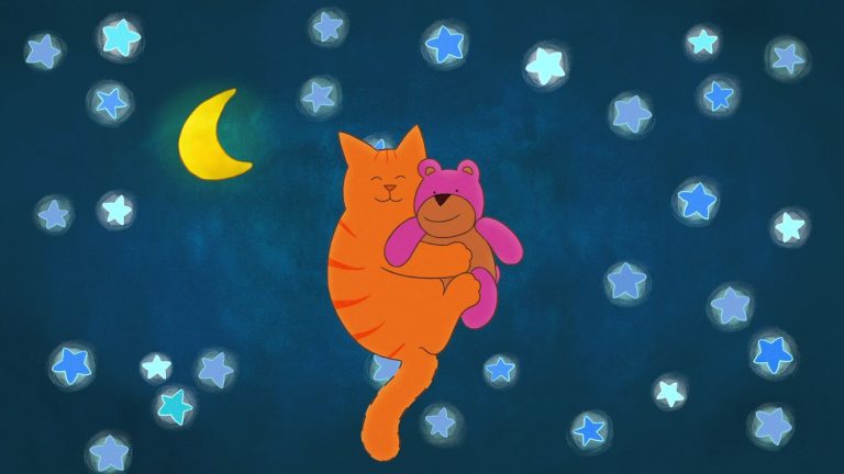 Vier feest met Dikkie Dik en de verdwenen knuffel (3+) — Markt in Groningen