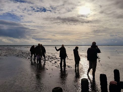 Wadlopen naar Ameland — Kids in Groningen
