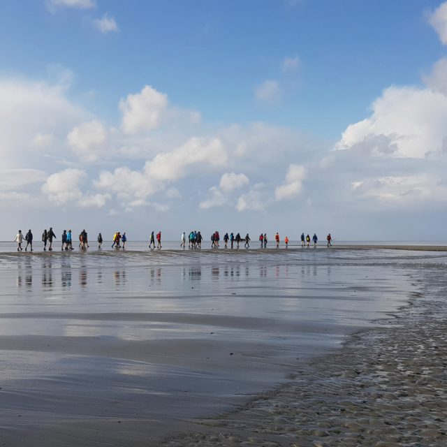 Wadlopen naar Engelsmanplaat — Cultuur in Groningen