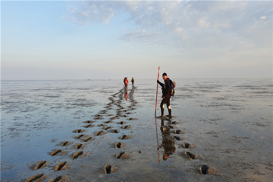 Wadlopen naar Rottumeroog — Cultuur in Groningen