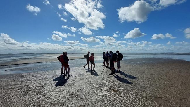 Wadlopen naar Schiermonnikoog — Cultuur in Groningen