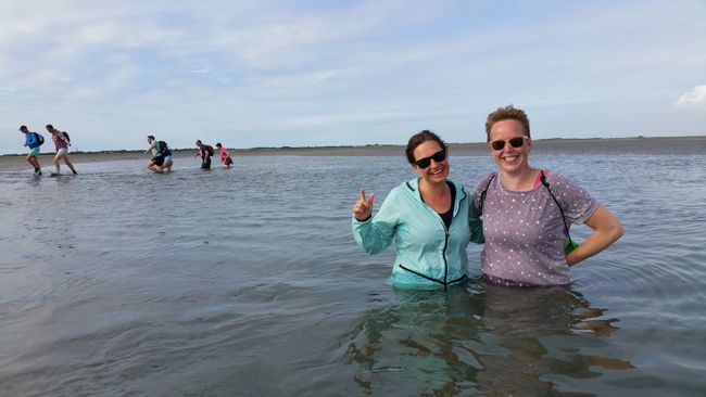 Wadlopen via Brakzand naar Schiermonnikoog — Kids in Groningen