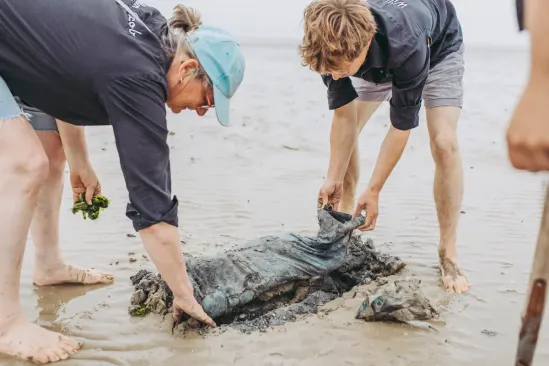 Zeehondenkijktocht met zandplaatwandeling — Natuur in Groningen
