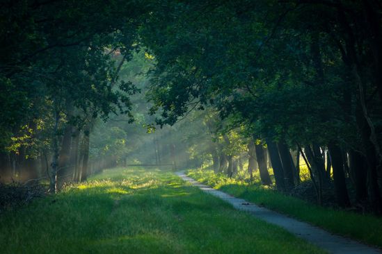 Fietstocht door het landschap van Westerwolde — Gratis in Groningen