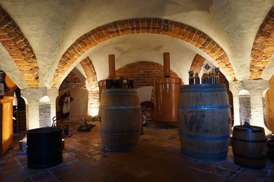 Minicollege bierbrouwen met proeverij — Cultuur in Groningen