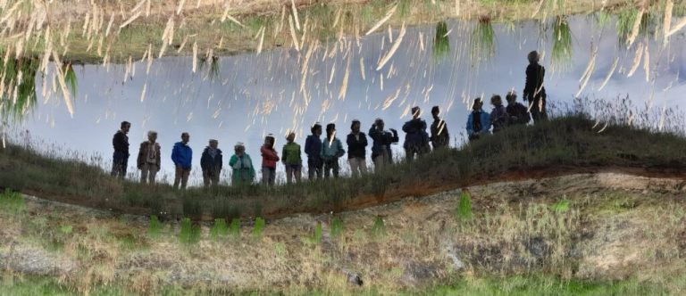 ‘open’ rondleidingen door het VoedselBos — Cultuur in Groningen