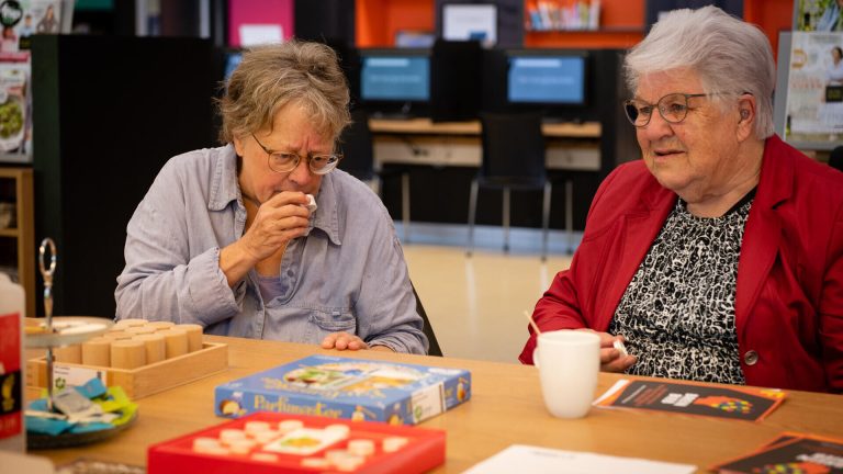 Spelochtend BreinBieb — Gratis in Groningen