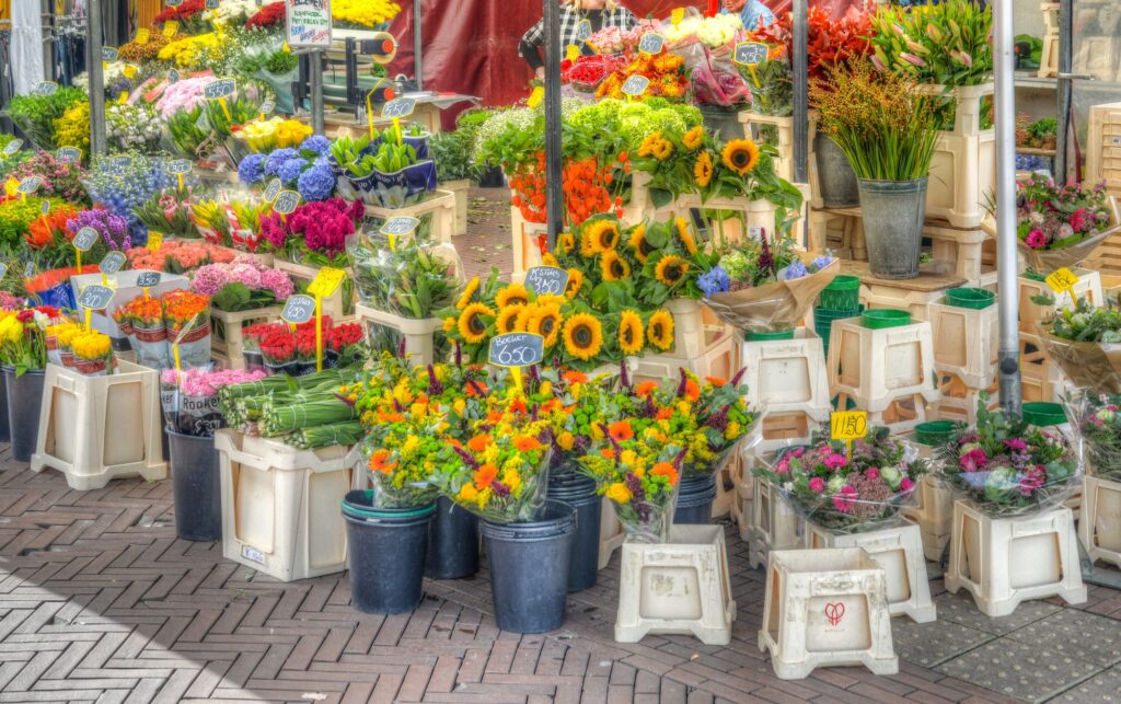 Kunstmarkt Hoornse Meer