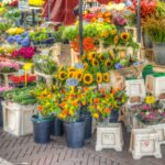 Kunstmarkt Hoornse Meer
