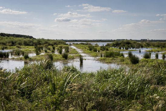 Vaartocht Foxholstermeer en vogelkijkhut Kiekhörn — Gratis in Groningen
