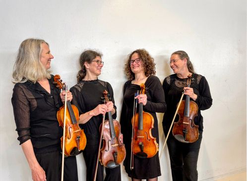 Altvioolkwartet Noord Nederlands Orkest bij Eenrum Klassiek in Groningen