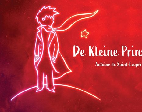 Musical De Kleine Prins — Theater in Groningen