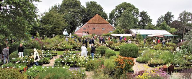 Najaarsplantenmarkt — Gratis in Groningen