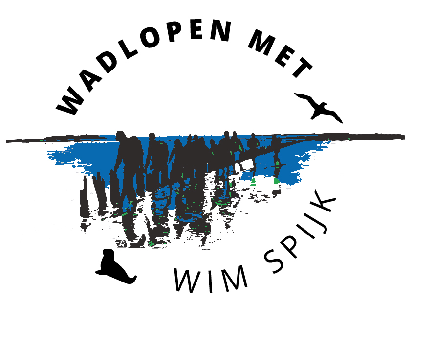 Wadlopen in Lauwersoog Plan je route naar Wadlopen
