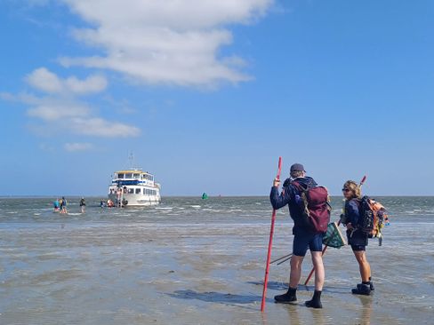 Zeehonden wadlooptocht — Natuur in Groningen